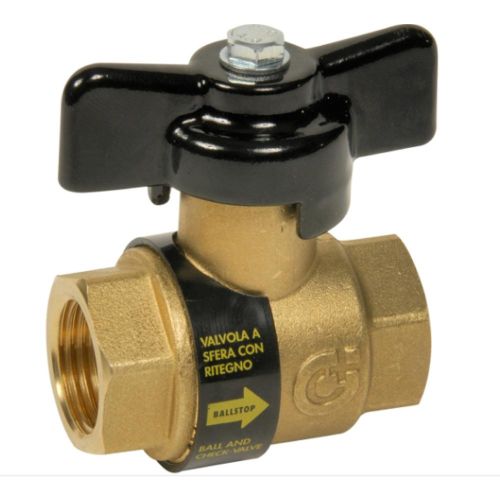 VANNE A SPHERE 3/4 FF + CLAPET